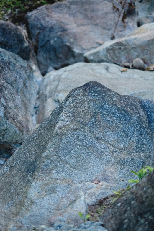 a small bird sitting on the rock outside