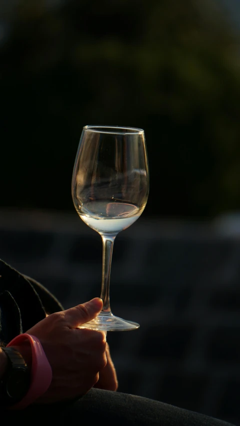 an image of a hand holding a wine glass