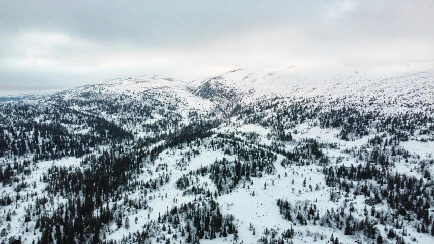 a mountain that has a lot of trees on it