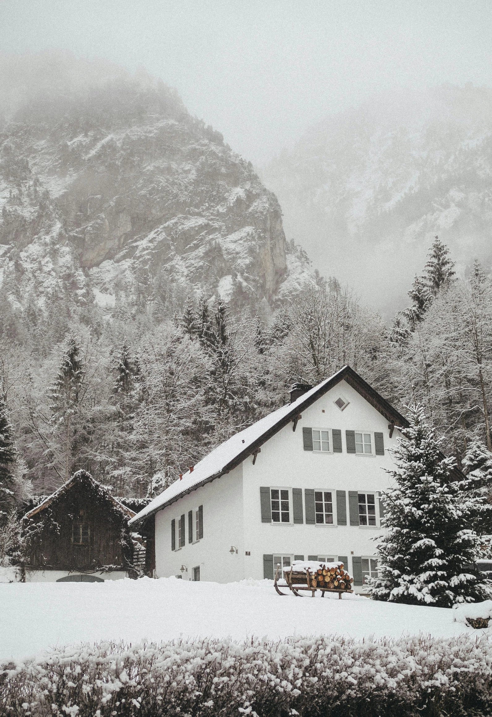 a snowy mountain cabin and evergreen forest next to it