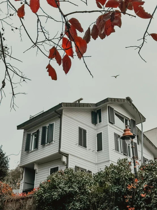 a white house with red leaves blowing in the wind