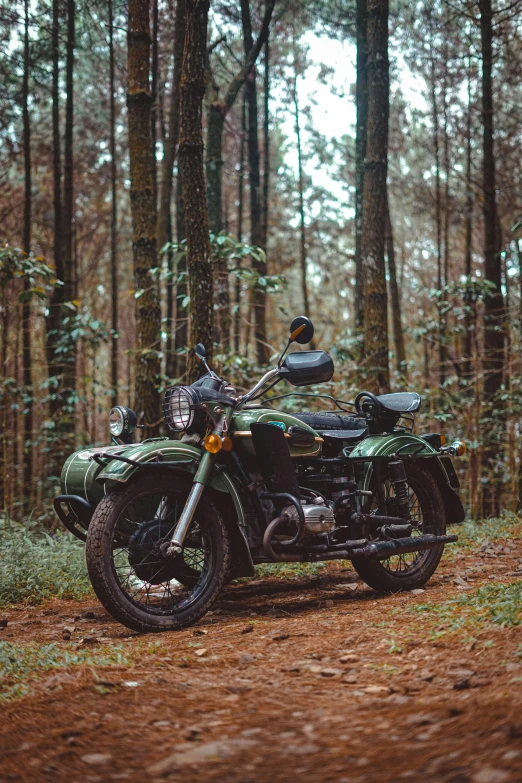 there is a motorcycle that is parked in the woods