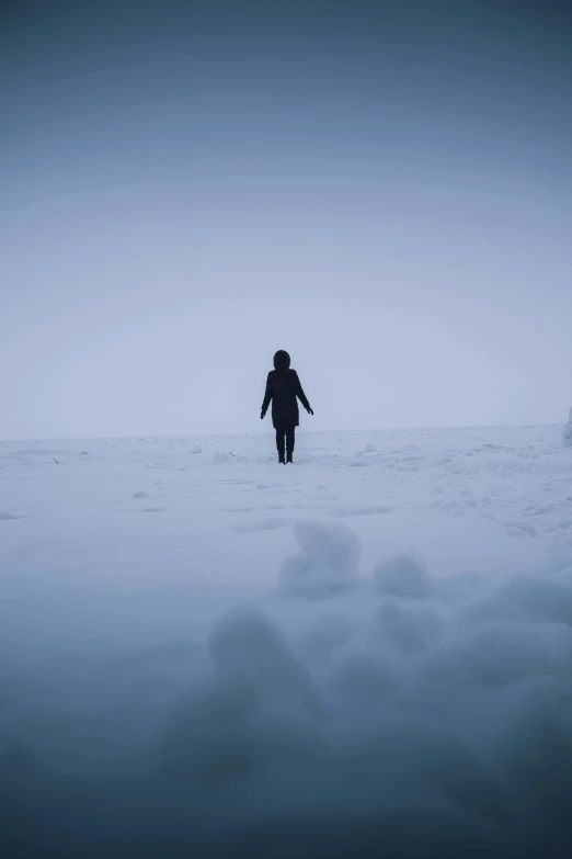 person walking alone in snow covered landscape near iceberg
