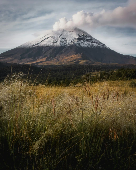 a mountain in the distance surrounded by grass