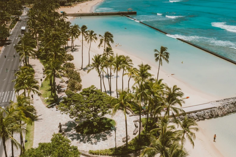 aerial view of the beach, with many palm trees and other items