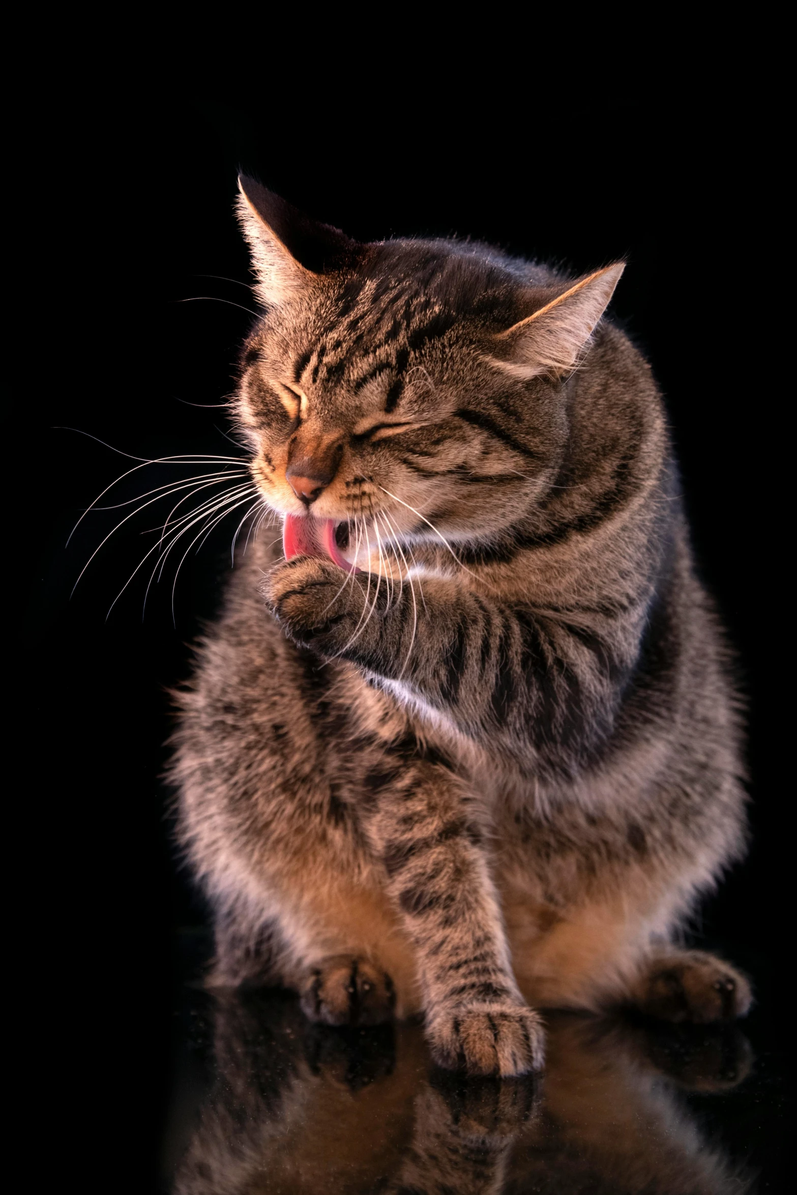 a cat sitting on the ground with his tongue out and looking