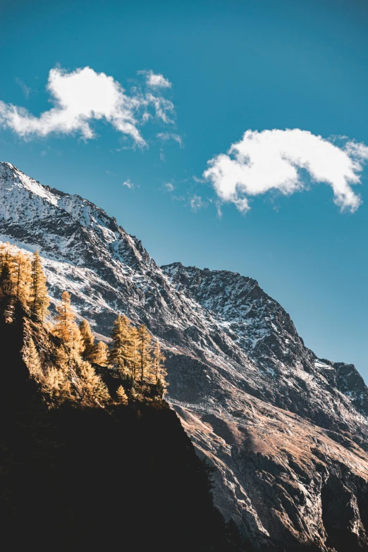 a mountain with snowy mountains and trees at the base