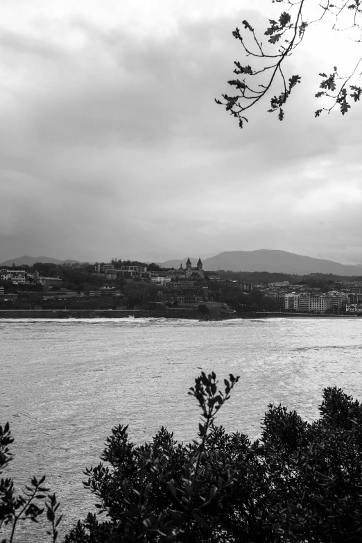 a body of water surrounded by trees with buildings in the background