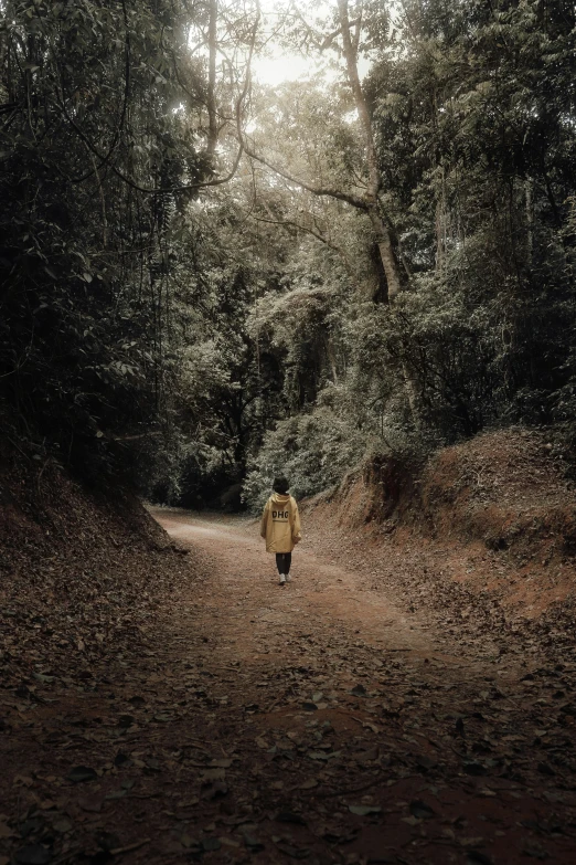 a person walking down the middle of a path