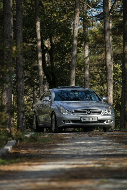 the car is traveling down a tree lined road