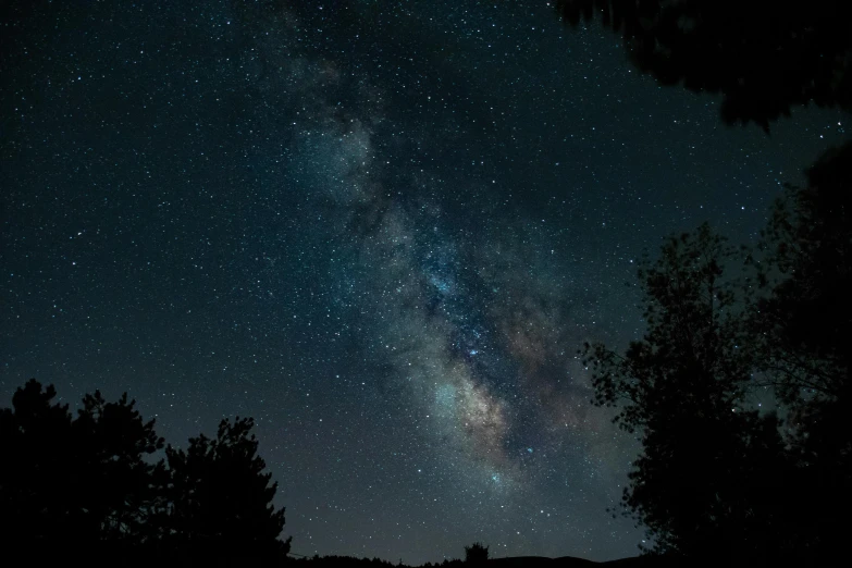 stars above the trees are seen at night