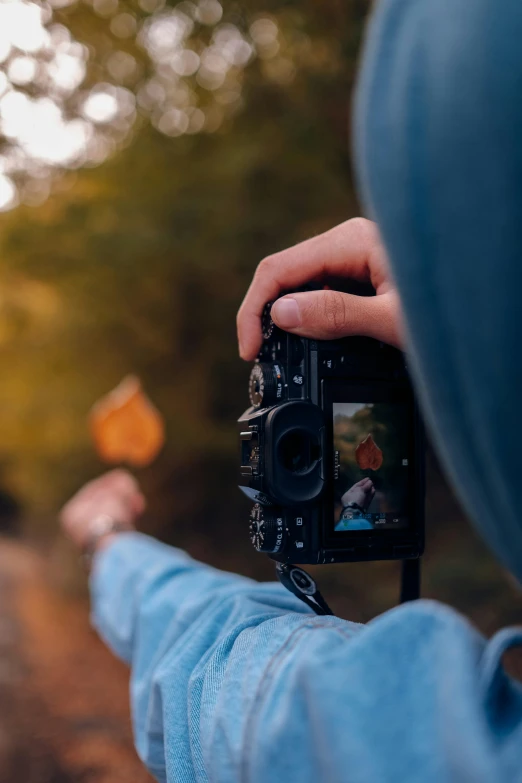 person taking a picture with a camera with autumn leaves in the background