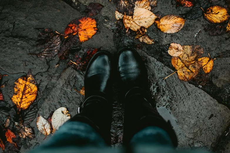 the feet of someone standing in the leaves