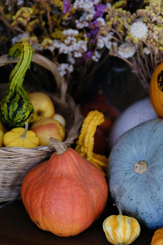 a variety of squash and vegetables in a basket