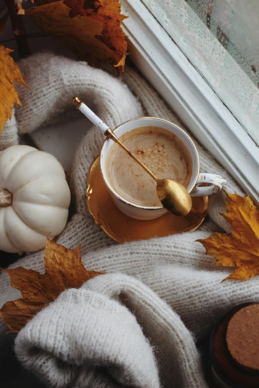 a cup of coffee next to an autumn leaf and white pumpkin