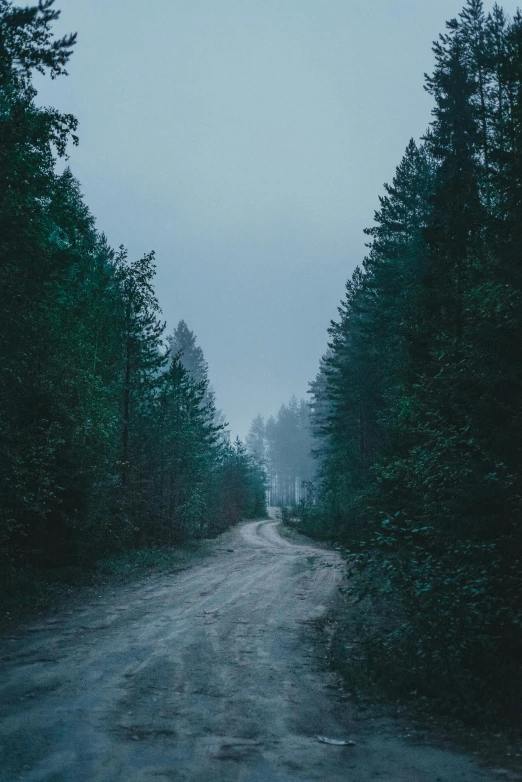 a dark road in the woods with no people