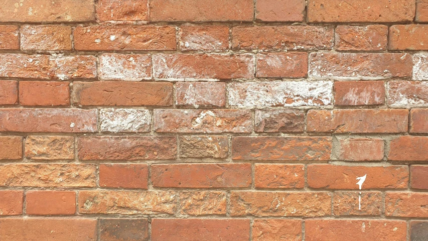 an orange brick wall with a white street name on it