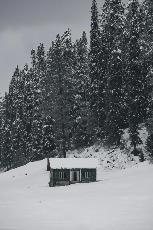 an outhouse sits on top of the snowy slope