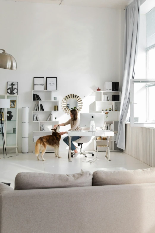 a woman works in an otherwise white and open space with her dog