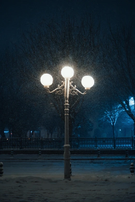 a tree and street lights in the middle of the night