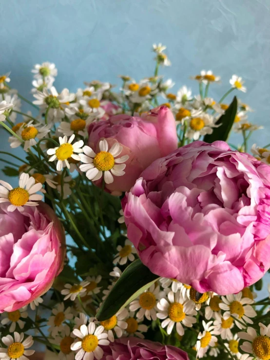 some pretty pink and white flowers are together