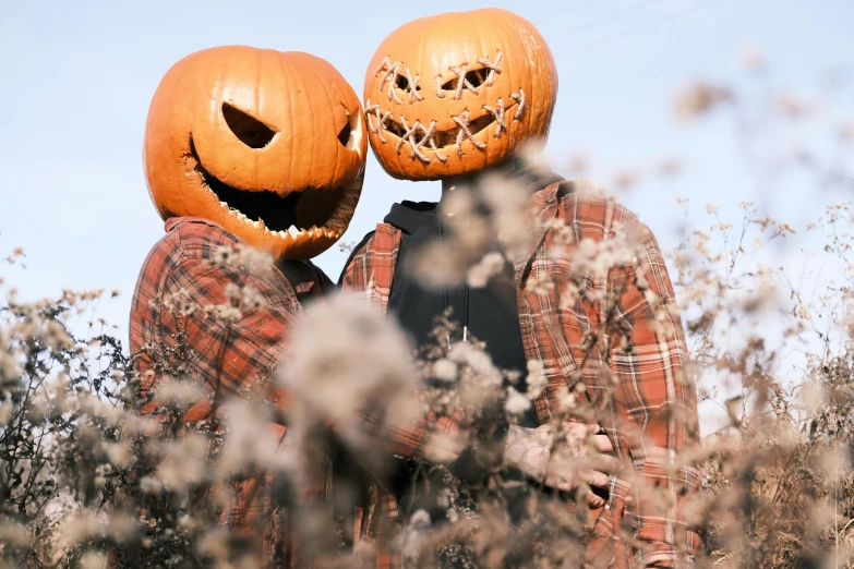 two pumpkin heads and a guy in a plaid shirt