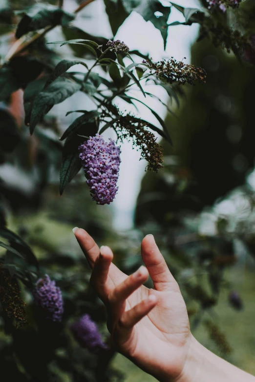 a person's hand reaching out to the sky next to flowers