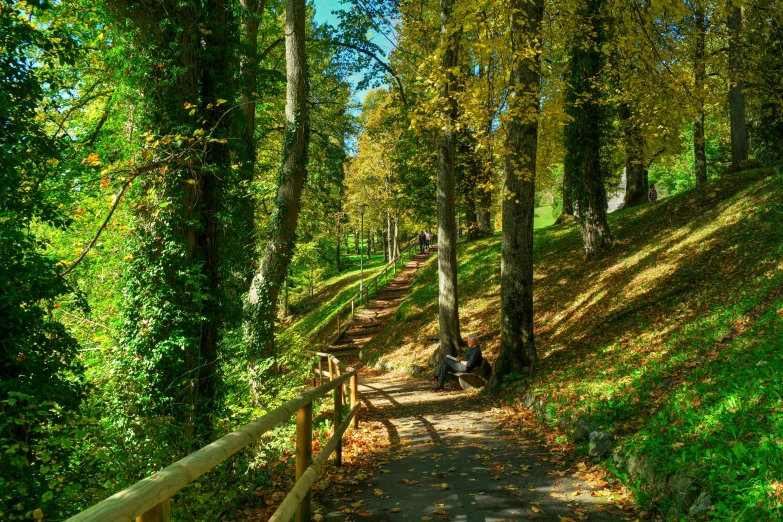 a wooden pathway in the middle of an autumnal park