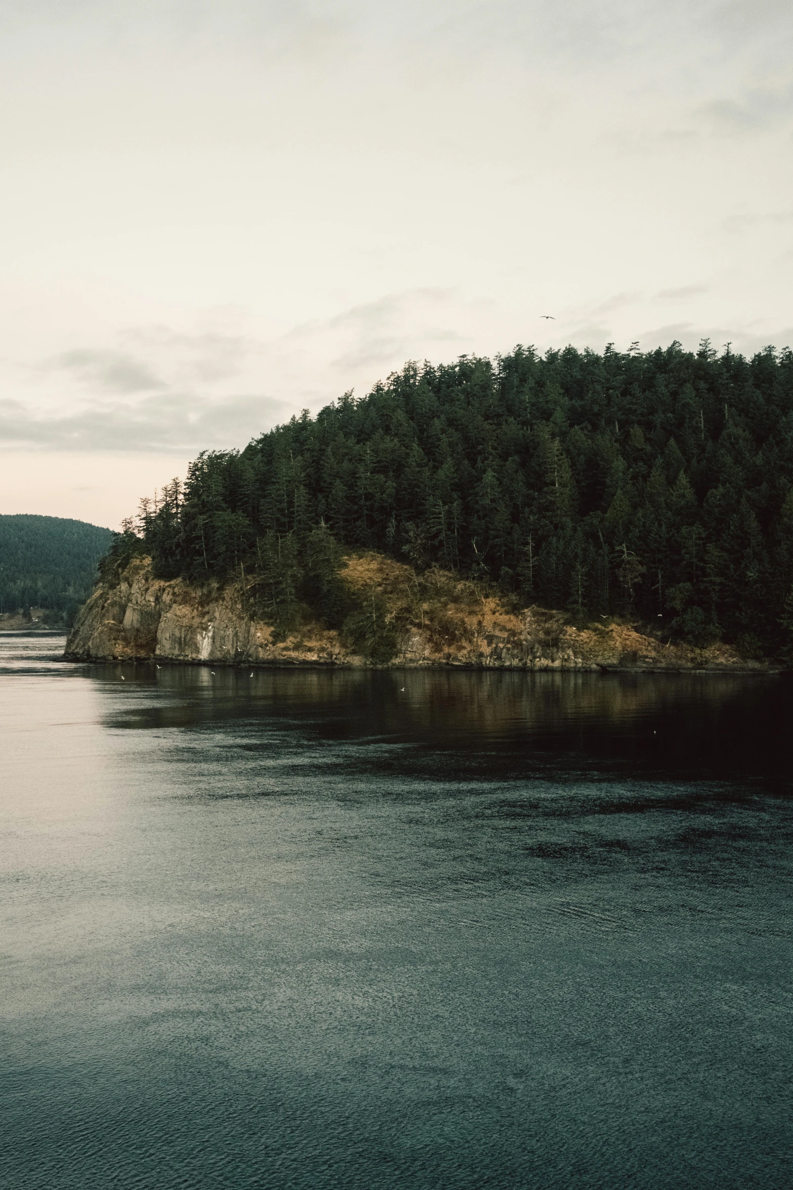 a body of water sitting next to a forest filled hillside