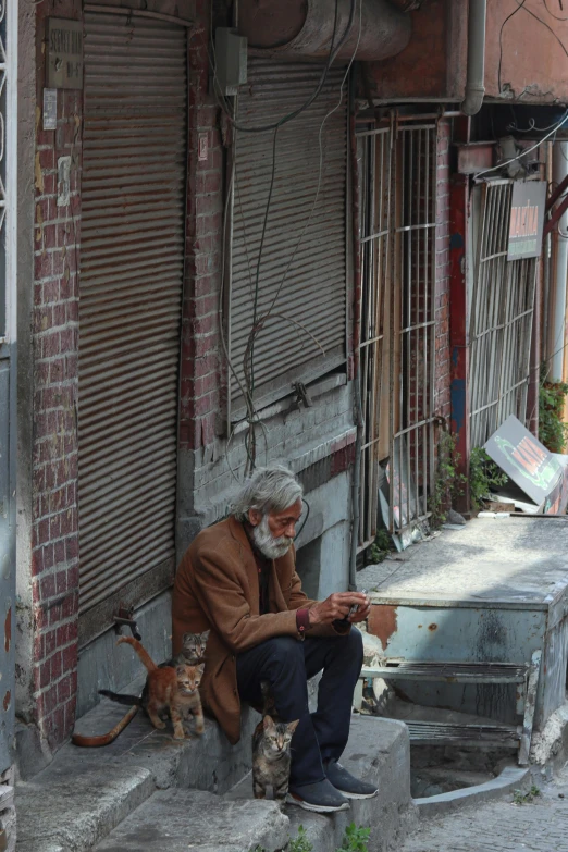 a person sitting on steps petting two cats