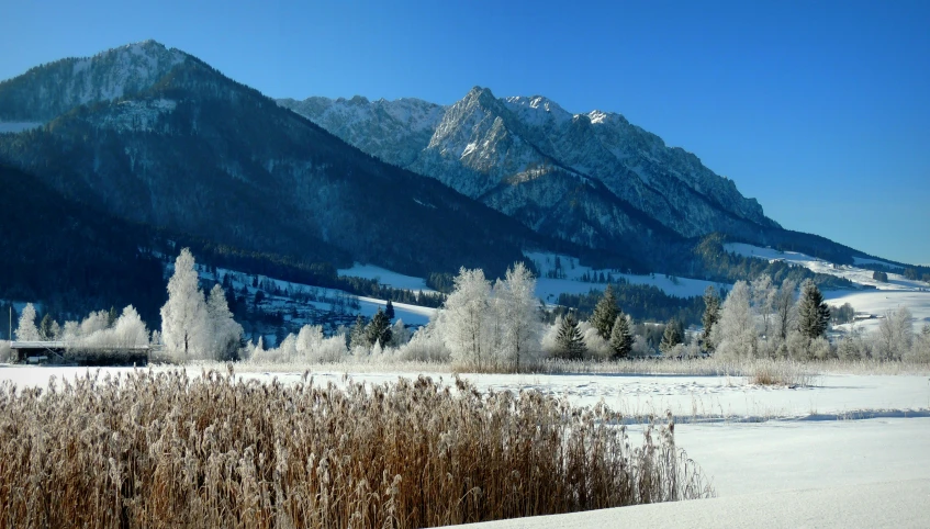 a snowy landscape with some mountains in the distance