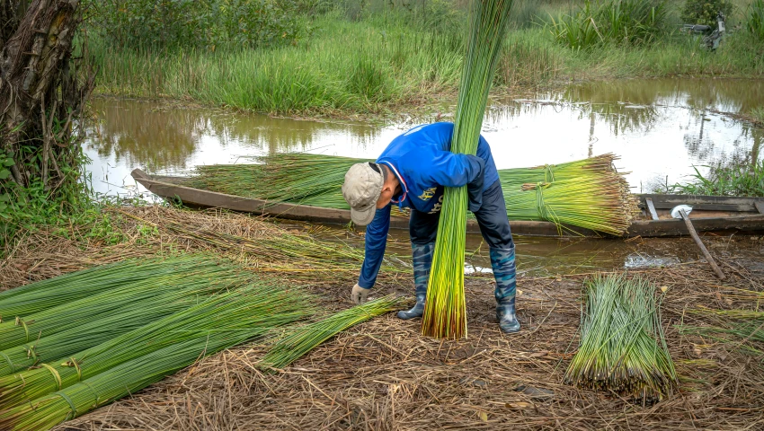 a person standing by the water holding green net