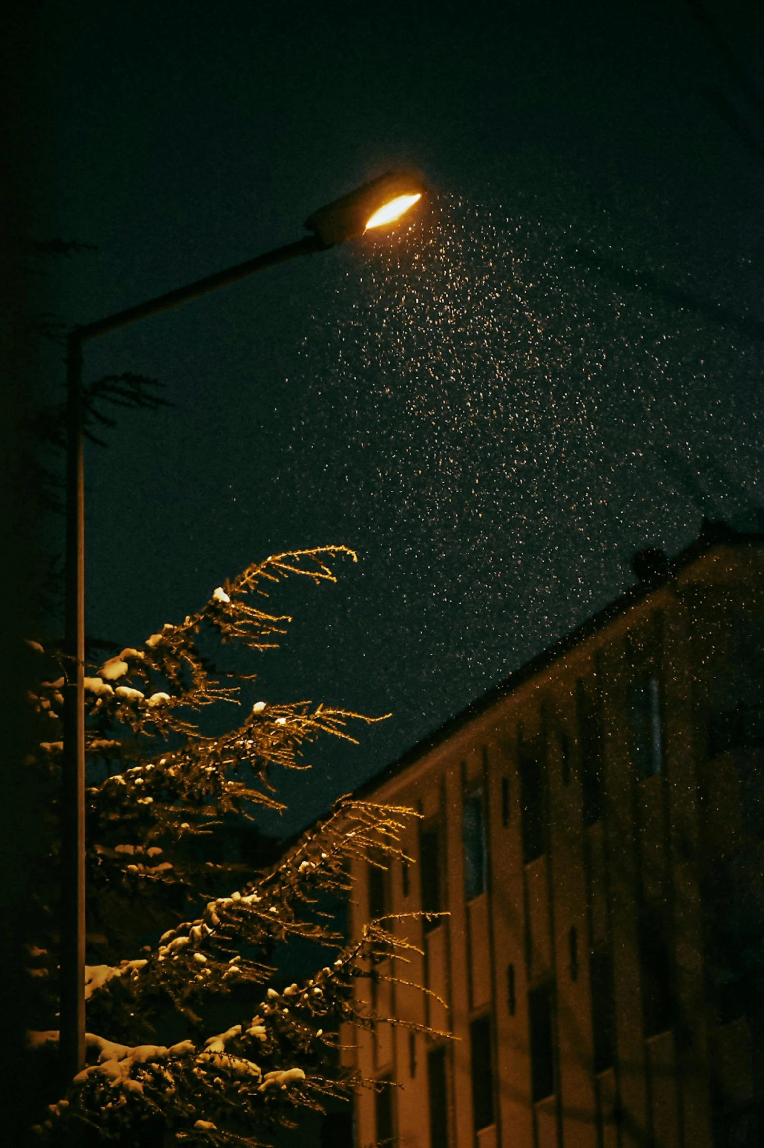 the street light shines brightly at night