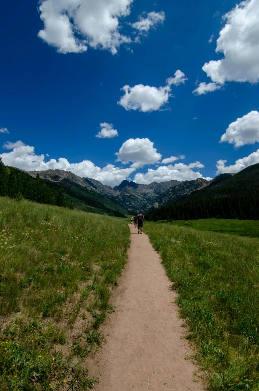 some people walking down a dirt trail through the countryside