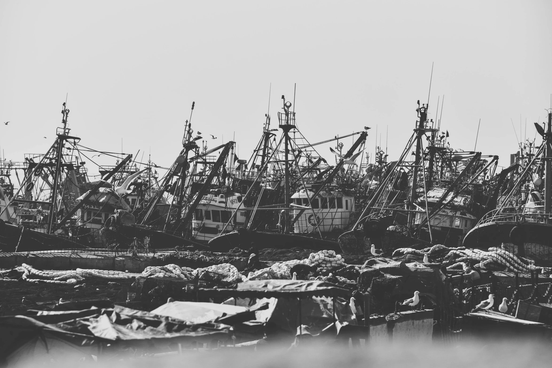 a black and white po of some docked boats