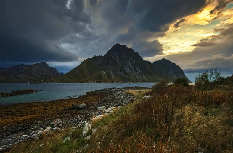 a field with a rocky shore below a cloudy sky