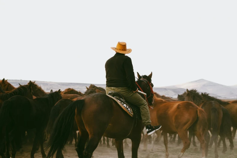 a man with a cowboy hat on his head riding a horse and looking at a large herd of horses