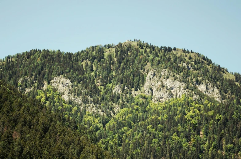 a mountain with trees and a blue sky