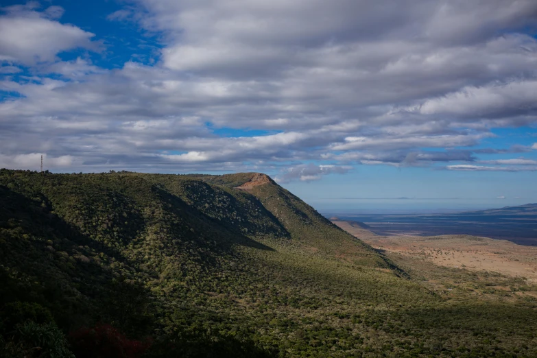 clouds hang over the tops of a forested mountain