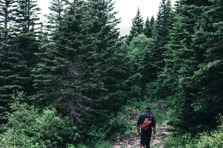 a man walking on a trail in the middle of some green trees