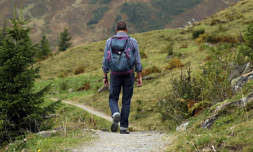 the person walking up the path is not too much busy