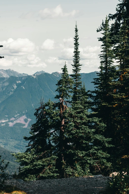 an overview view of several mountains with a forest below