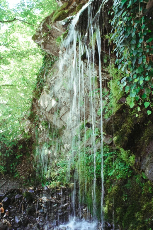 a small waterfall is surrounded by green plants and rocks