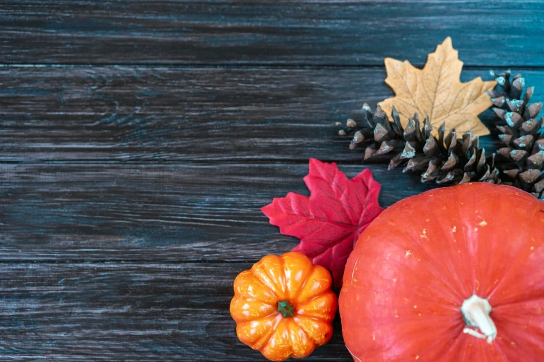 pumpkin and acorns placed near pine cones and cones