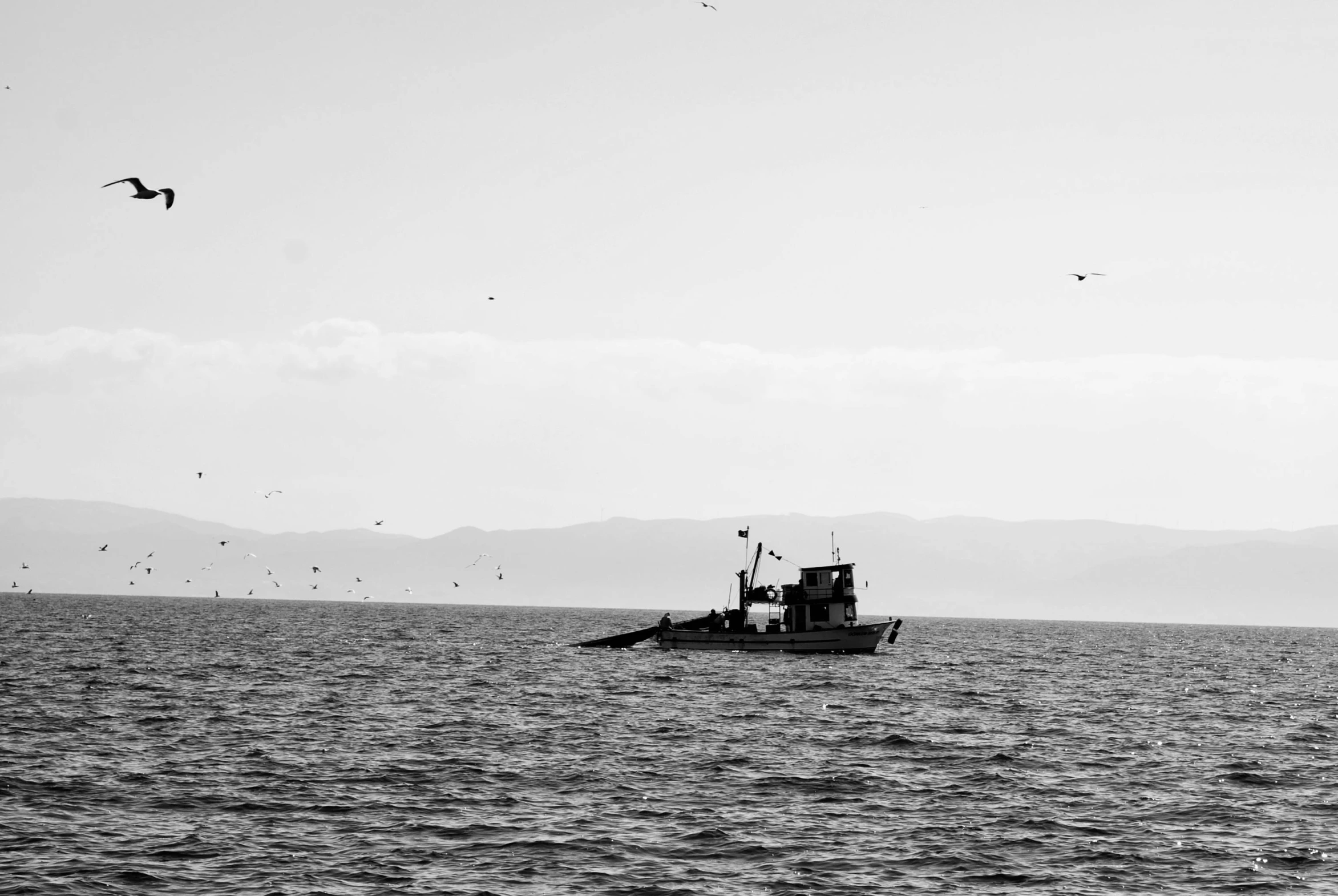 two boats are on the water and birds are flying overhead