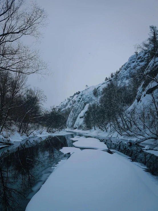 a creek in the middle of the woods on a cloudy day