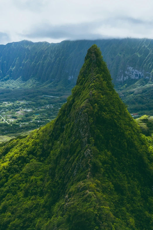 a tall mountain with lush green vegetation on top