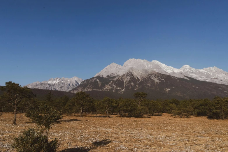 two giraffes are in the wild with mountains behind them