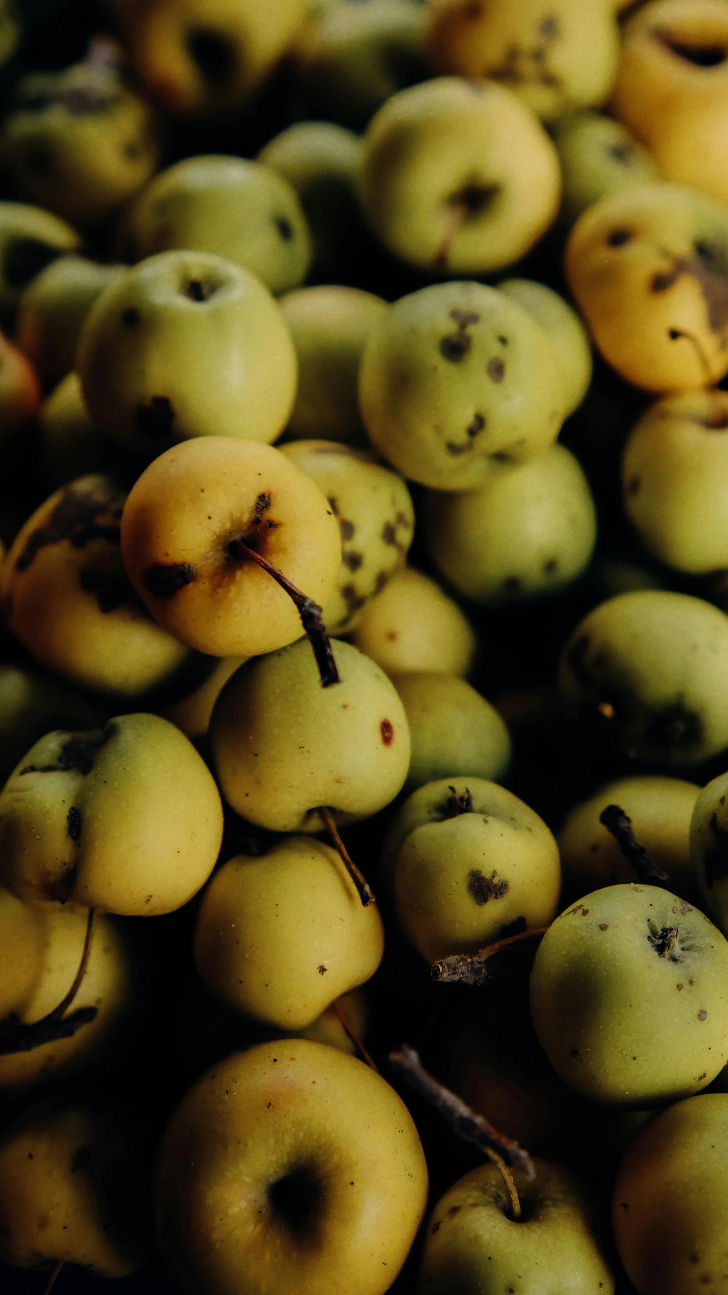 a pile of small fruits with some spots on them