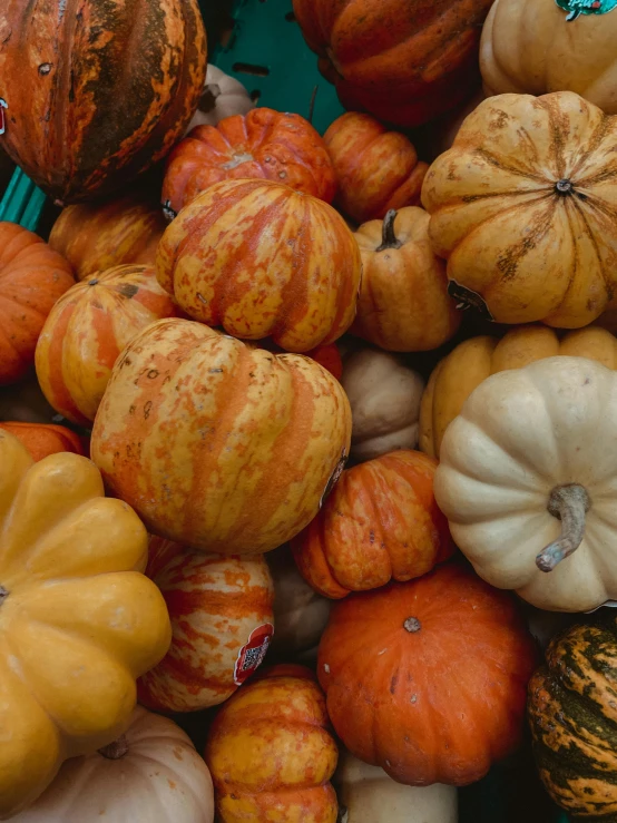 there are many different pumpkins in this image